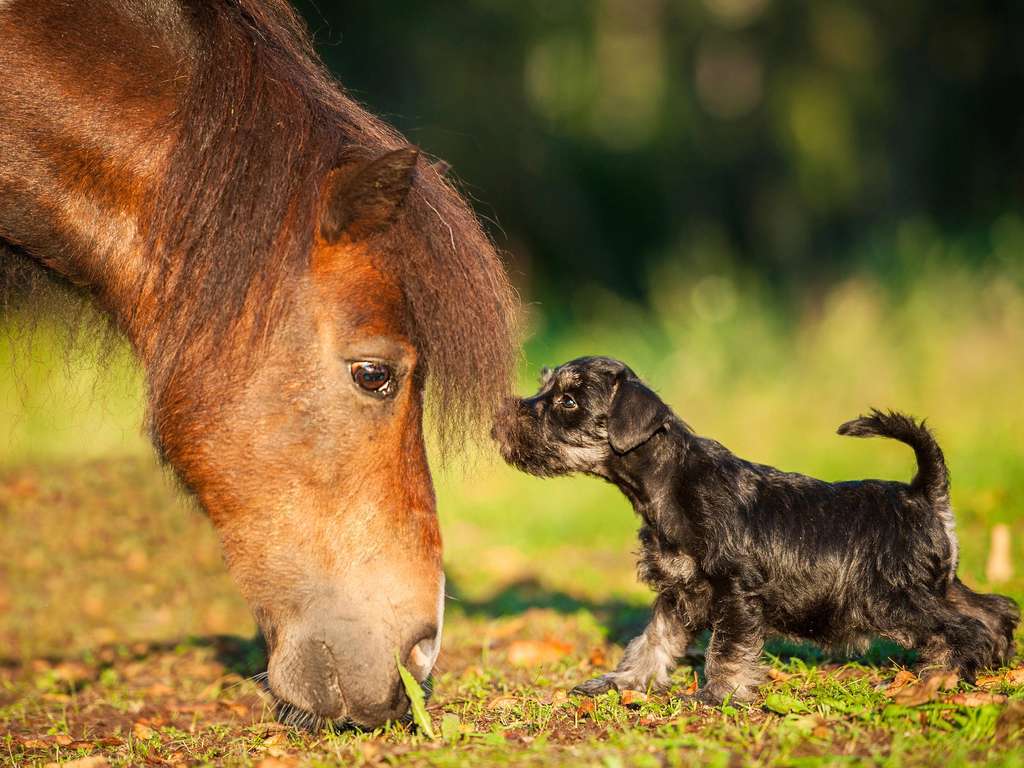 (c) Rita Kochmarjova / Fotolia (c) Rita Kochmarjova / Fotolia