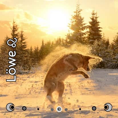 Löwe Horoskop für Donnerstag, 26. Januar 2023