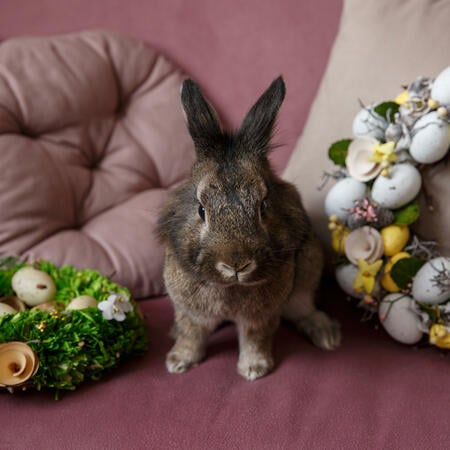 Weekly horoscope april easter week