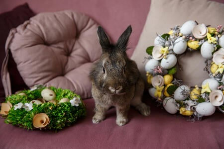 Weekly horoscope april easter week