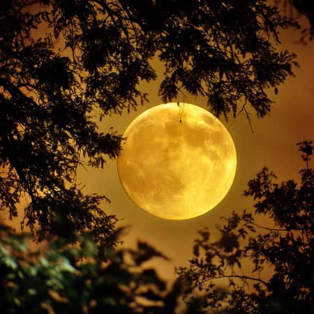 Full Moon weekly horoscope July 2025