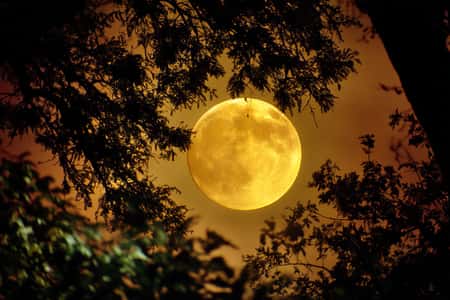 Full Moon weekly horoscope July 2025