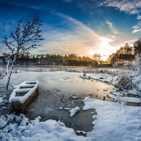 wochenhoroskop 1. Januar