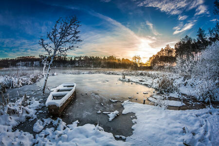 wochenhoroskop 1. Januar