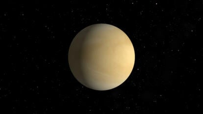 Venus - Januar 1994