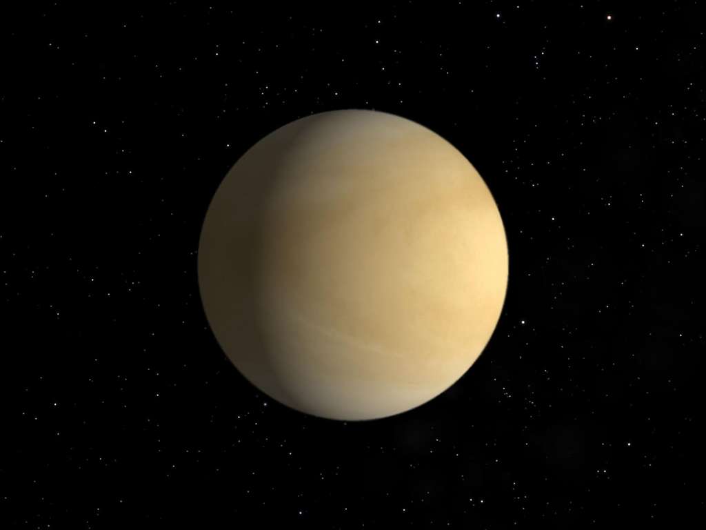Die Venus | Foto: © NJ - stock.adobe.com