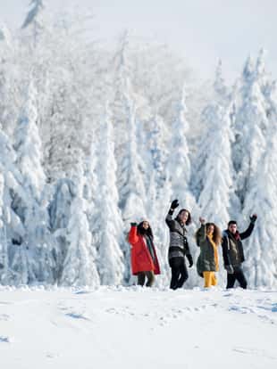 A group of young cheerful friends on a walk outdoors in snow in winter forest, waving.