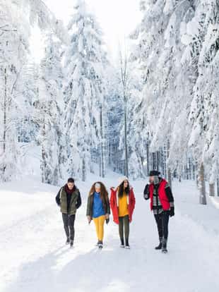A group of young cheerful friends on a walk outdoors in snow in winter forest.