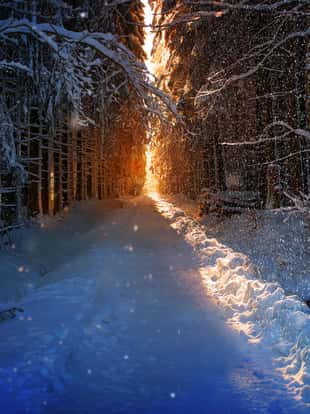 Am Ende eine Waldweges scheint die tiefstehende Sonne durch die Lichtung. Es ist Winter und leichter Schneefall setzt ein kurz bevor die Sonne ganz untergegangen ist.