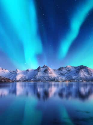 Northern lights and snow covered mountains in Lofoten islands, Norway. Aurora borealis. Starry sky with polar lights and snowy rocks reflected in water. Night winter landscape with aurora, sea. Travel