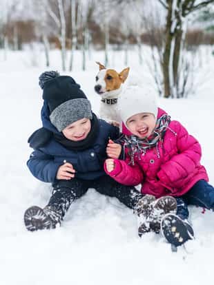 Children playing with Jack Russell terrier puppy in the park in the winter in the snow.