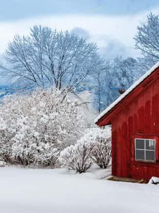 Red barn during winter with snow, Stowe, Vermont, USA