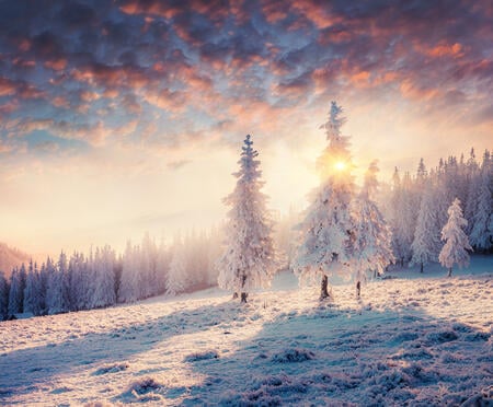Impressive winter morning in Carpathian mountains with snow covered fir trees. Colorful outdoor scene, Happy New Year celebration concept. Artistic style post processed photo.
