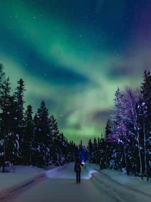 Colorful polar arctic Northern lights Aurora Borealis activity with one person in snow winter forest in Finland, Lapland