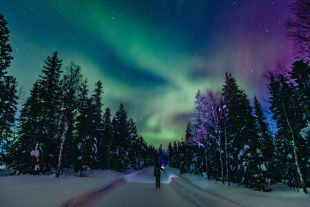 Colorful polar arctic Northern lights Aurora Borealis activity with one person in snow winter forest in Finland, Lapland