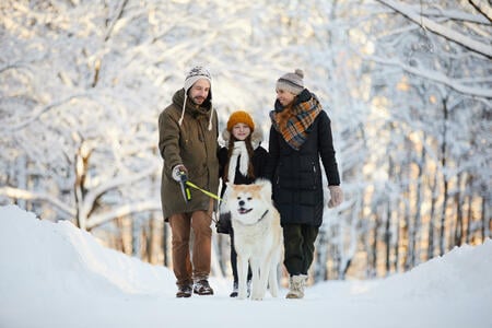 Full length portrait of happy family enjoying walk with dog in winter forest, copy space