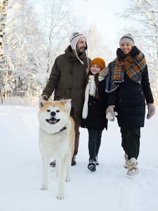 Full length portrait of happy family walking dog in beautiful winter forest, copy space