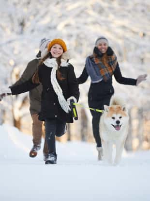 Full length portrait of happy girl walking dog in beautiful winter park, copy space