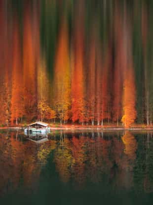 Colorful autumn forest with motion blur artistic effect, reflected in the water of the Alpsee lake, near Fussen city, Germany.