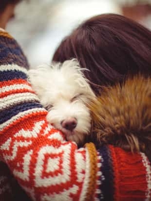Young couple hugging with their sleepy dog