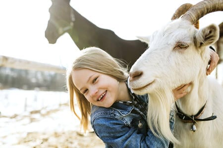 Pretty little blond girl in denim jacket with goat and horse on sunny winter day.