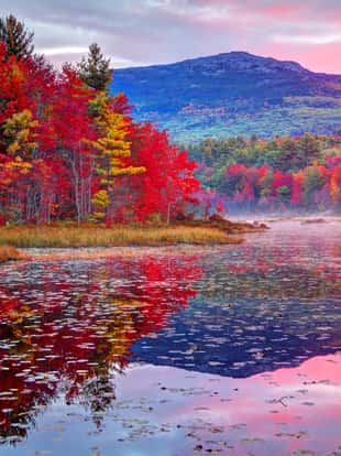 Mount Monadnock, or Grand Monadnock, is a mountain in the New England state of New Hampshire