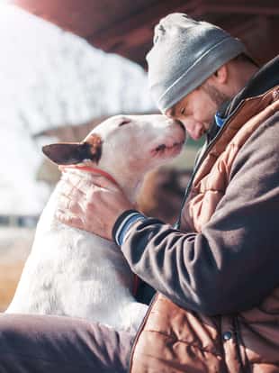 Man sitting on the bench with his dog and sharing moments of  love, happiness and  joy with his bull terrier. Pets and animals. Lifestyle concept
