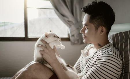 Handsome young Asian man sitting down on the bed in the bedroom playing with a cat at home