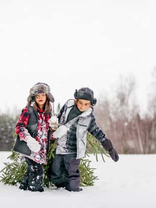 Multi-generational family go get his Christmas tree on the woodland of Papy. Sister and brother carrying the fir tree. They walking on the snow. The color and horizontal picture is taken in Quebec Canada.