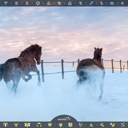 28.02.2015 - Astrologie Kalender