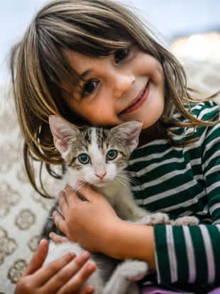 Adorable little girl, 5 years old, cuddles with a cute young kitten. Indoors, casual and candid, pets and kids and cats at home