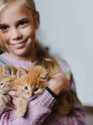 Little  Caucasian girl playing with kittens  indoors