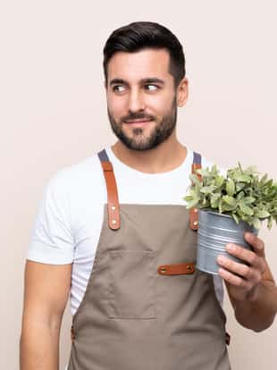Gardener man holding a plant over isolated background standing and looking to the side