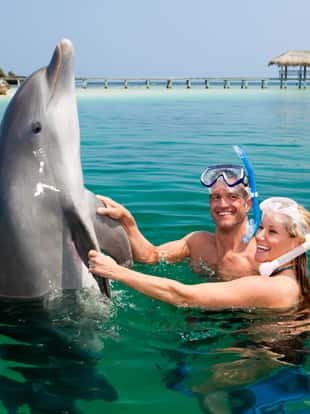 Happy mid adult couple wearing snorkels and playing with dolphin in sea