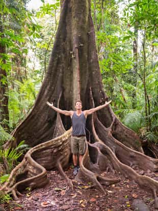 Man looking up standing by huge tree roots in the Australian Rainforest, Mossman Gorge. Nikon D810. Converted from RAW.