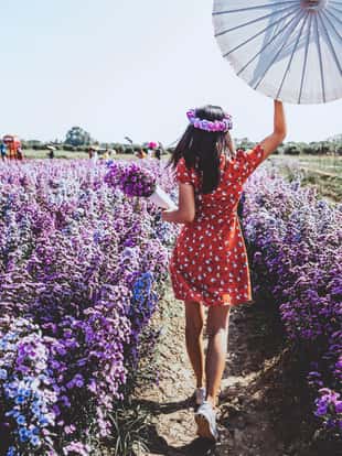 Winter travel relax vacation concept, Young happy traveler asian woman with dress and flower crown walking on Margaret Aster flowers field in garden at Chiang Mai, Thailand