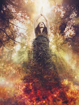 Nature beauty photo. Tree is a life. Forest fires kill lives.