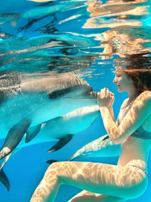 Girl under the water touches the dolphin
