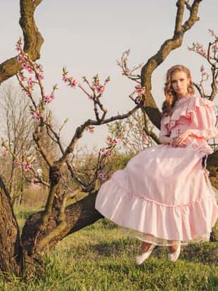 Fairytale woman sitting on the big tree branch in the pink dress