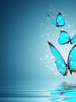 Blue Magic butterfly over water
