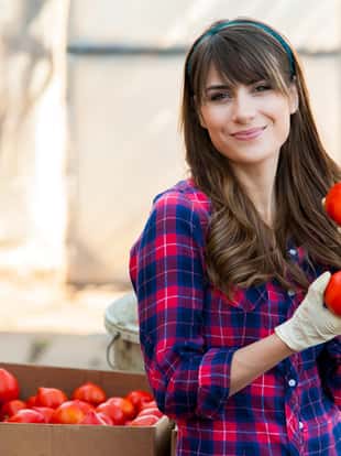 Young woman selecting tomatoes and placing them in boxes for sale.