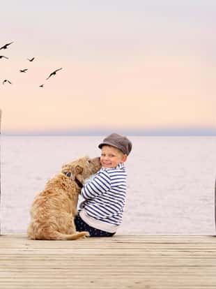 cute little dog is kissing his boy friend - friendship