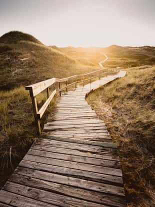 Boardwalk through the dunes, Amrum, Germany