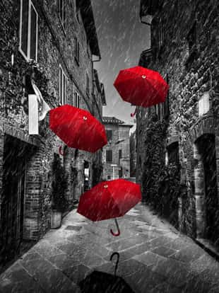 Umbrellas flying with wind and rain on dark narrow street in an old Italian town in Tuscany, Italy.. Black and white with red