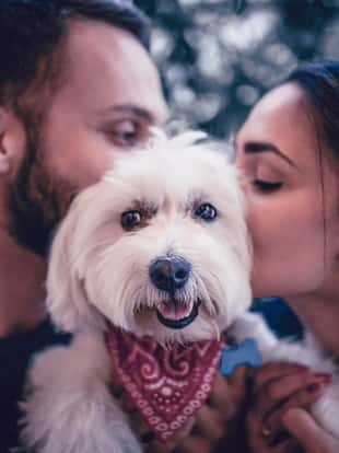 Young Couple Kissing Their Furry Canine Friend