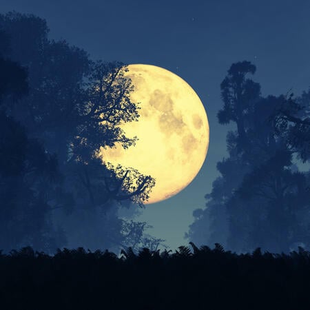 Mondkalender | Foto: (c) Fotolia / boscorelli