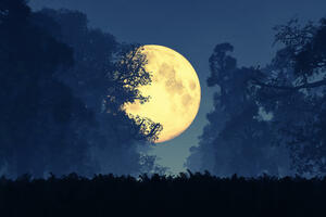 Mondkalender | Foto: (c) Fotolia / boscorelli